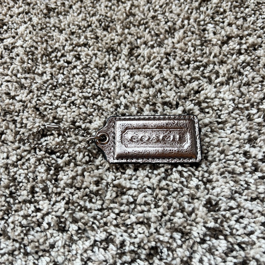 Silver With A Silver Chain